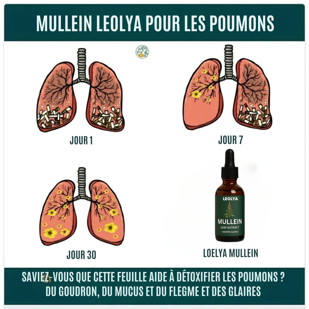 Mullein - Gouttes nettoyage mucus, glaire et crasse du tabac