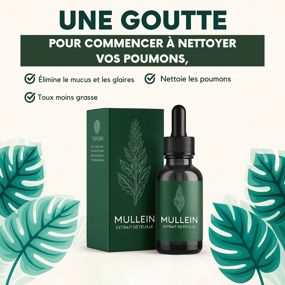 Mullein - Gouttes nettoyage mucus, glaire et crasse du tabac